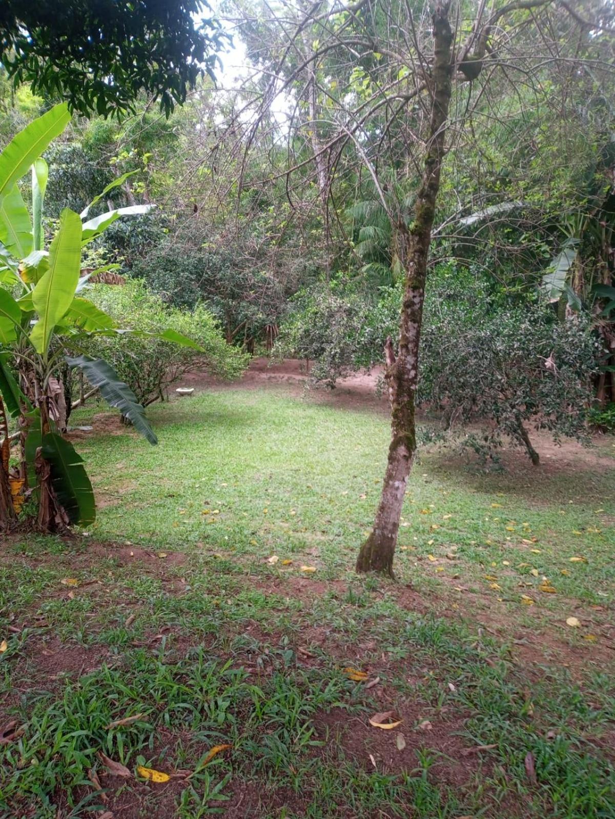 Chacara Buscape - Sana-rj - Pacote 6mil Reais 度假居 *