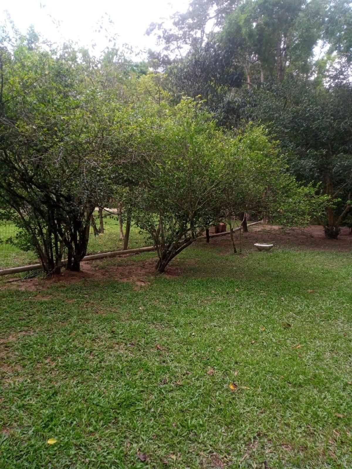 Chacara Buscape - Sana-rj - Pacote 6mil Reais *